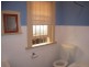 14 Elizabeth St, Ashfield NSW 2131
