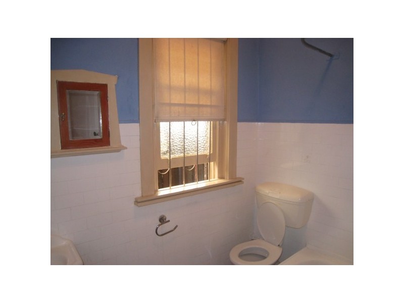 14 Elizabeth St, Ashfield NSW 2131
