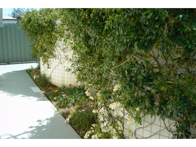 36 Laidlaw St, Boggabri NSW 2382