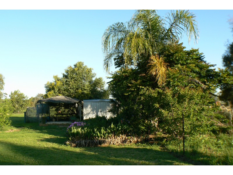 33 Galway Ave, Gunnedah NSW 2380