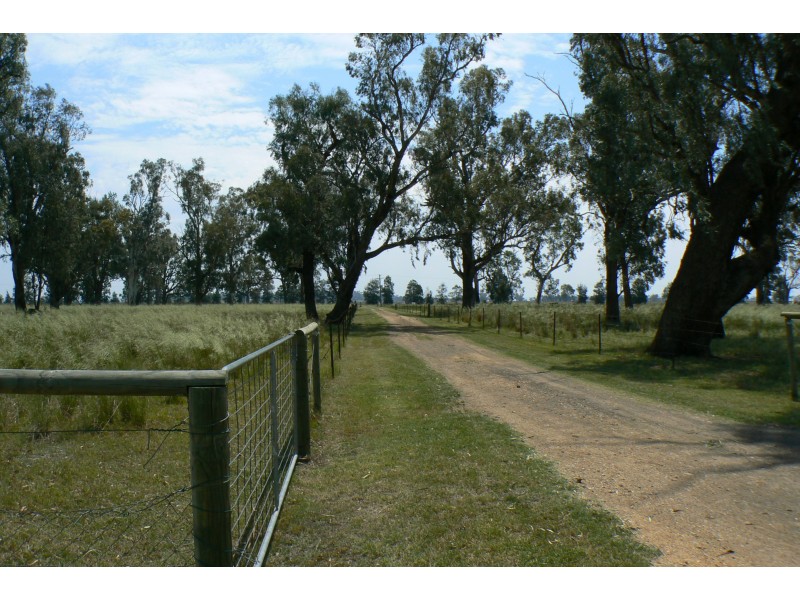 632 Kelvin Rd, Gunnedah NSW 2380