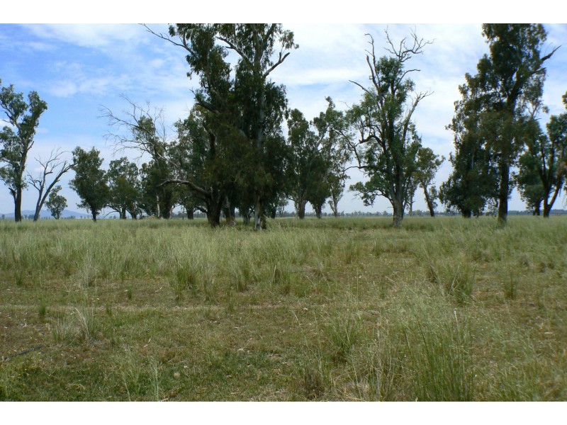 632 Kelvin Rd, Gunnedah NSW 2380