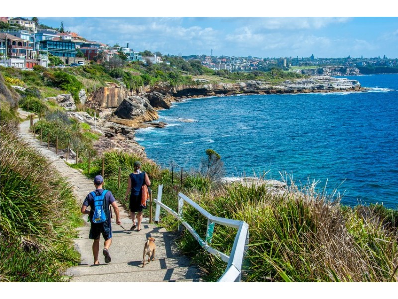 13 Palmer St, South Coogee NSW 2034