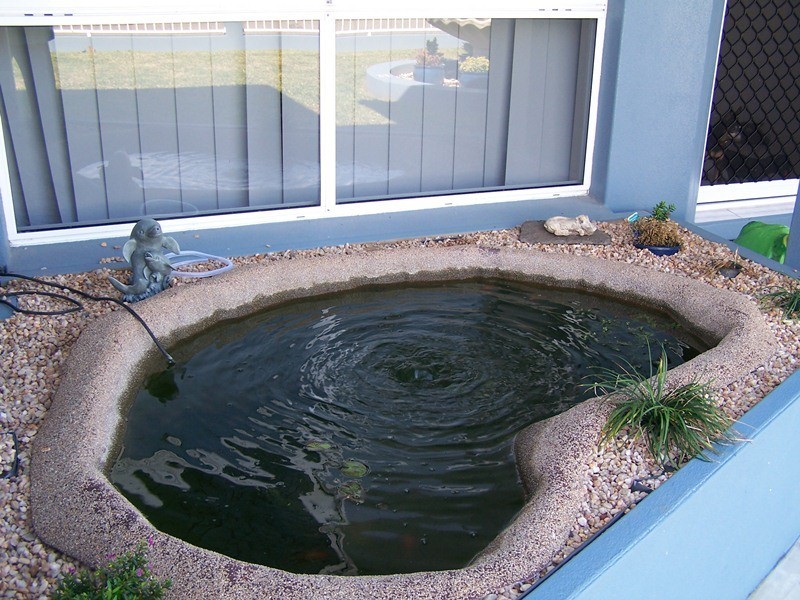 5 Lorena Court, Andergrove QLD 4740