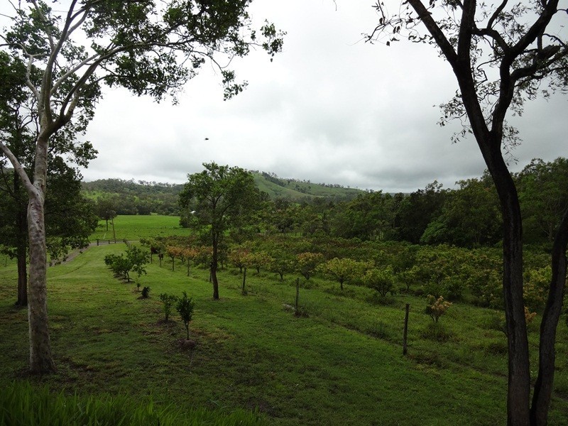 301 Tara Creek Road, Sarina QLD 4737