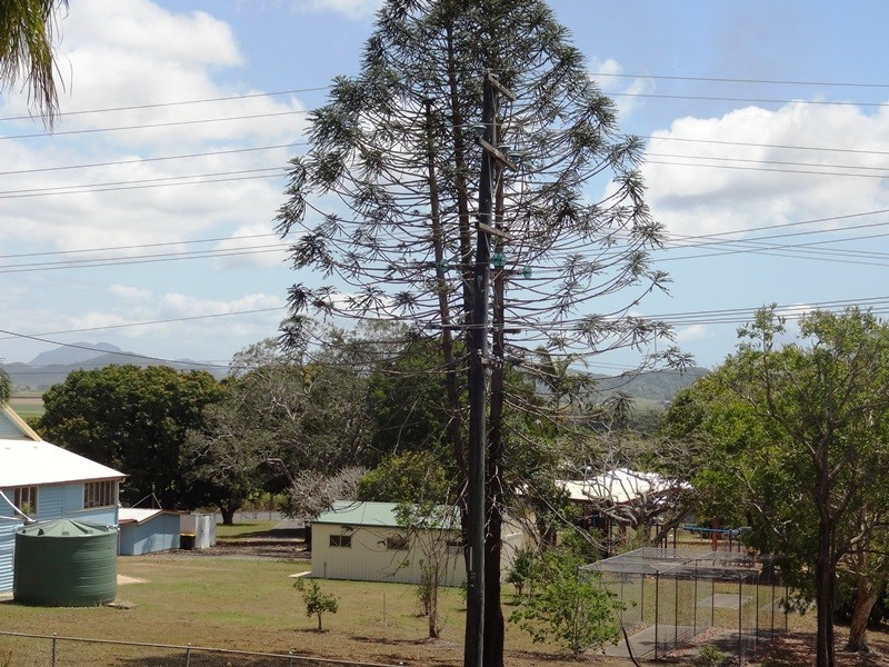 32 Chidlow Street, Farleigh QLD 4741