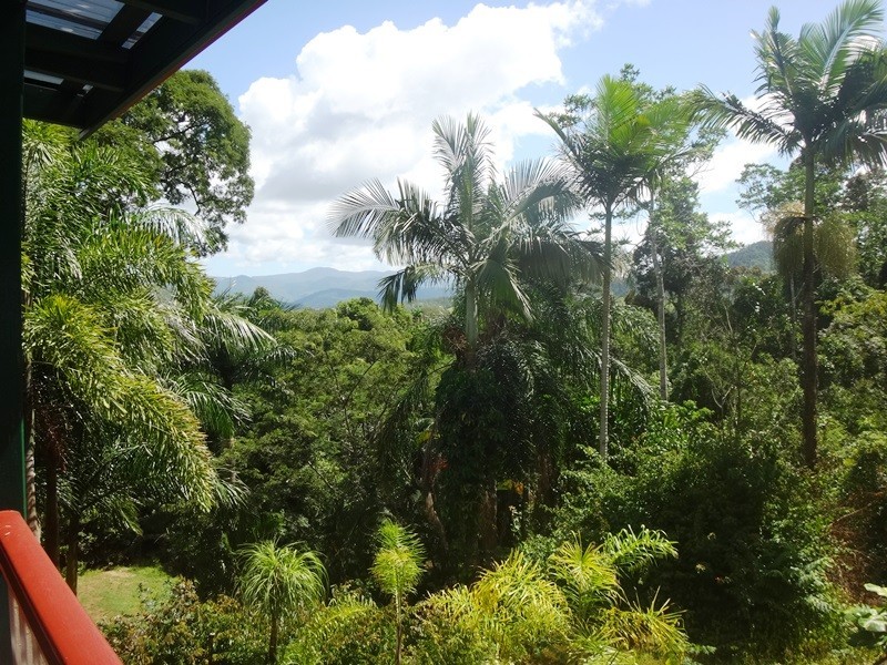 3490 Mirani-Mt Ossa Road, Mount Ossa QLD 4741