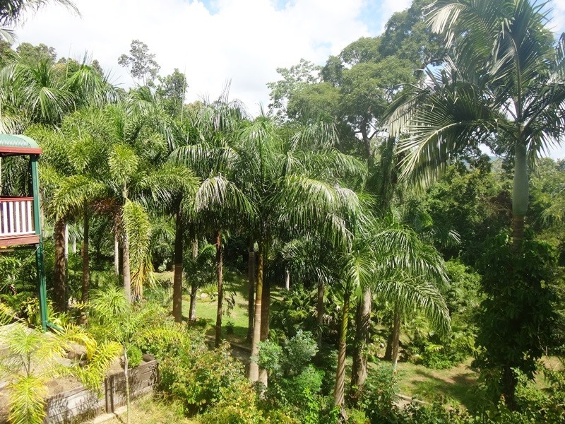 3490 Mirani-Mt Ossa Road, Mount Ossa QLD 4741