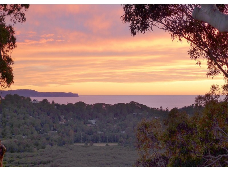 22 Riviera Ave, Avalon NSW 2107