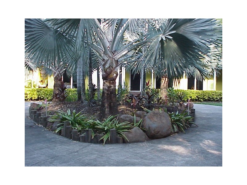 39 Clifton Road, Clifton Beach QLD 4879