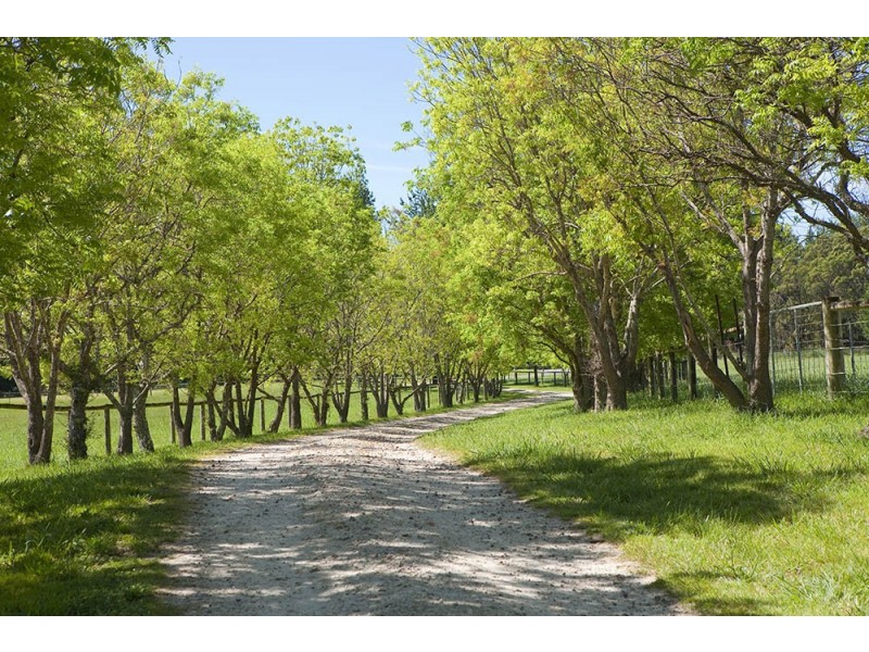 225 Exeter Road, Sutton Forest NSW 2577