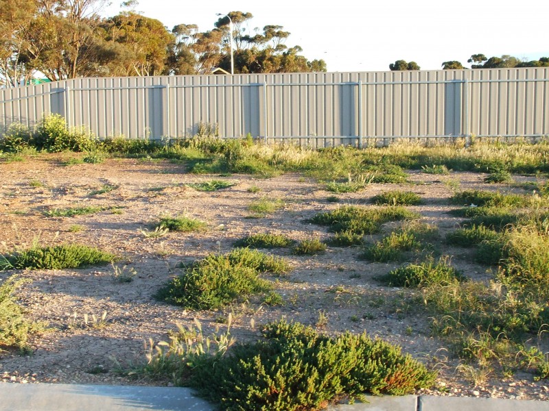 1 Catherine Street, Port Wakefield SA 5550