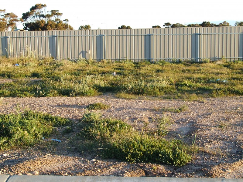 2 Catherine Street, Port Wakefield SA 5550