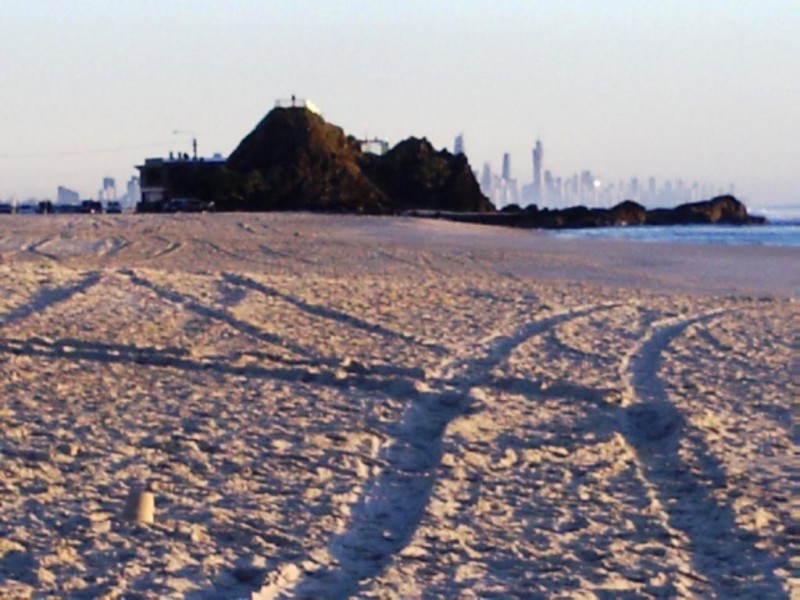 3c/50 Currumbin Creek Road, Currumbin Waters QLD 4223