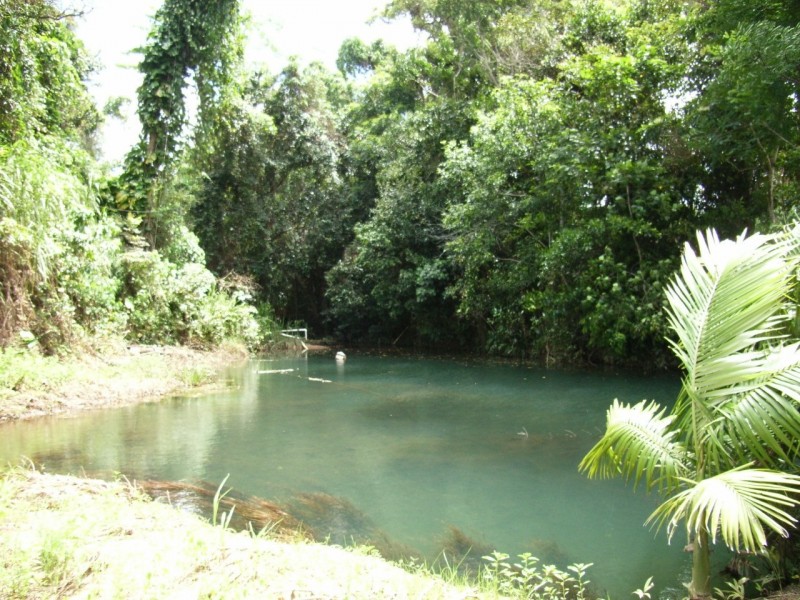 144 Bilyana Back Road, Cardwell QLD 4849