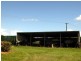 144 Bilyana Back Road, Cardwell QLD 4849