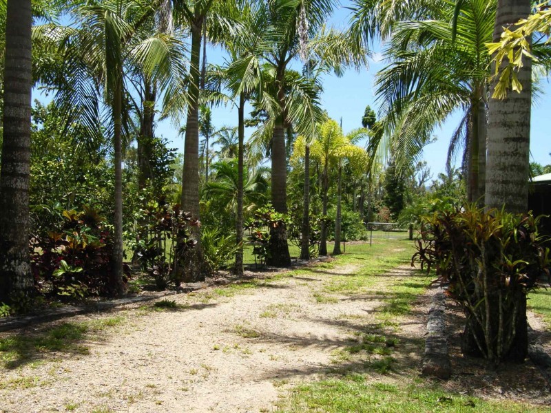 171 Stony Creek Road, Cardwell QLD 4849