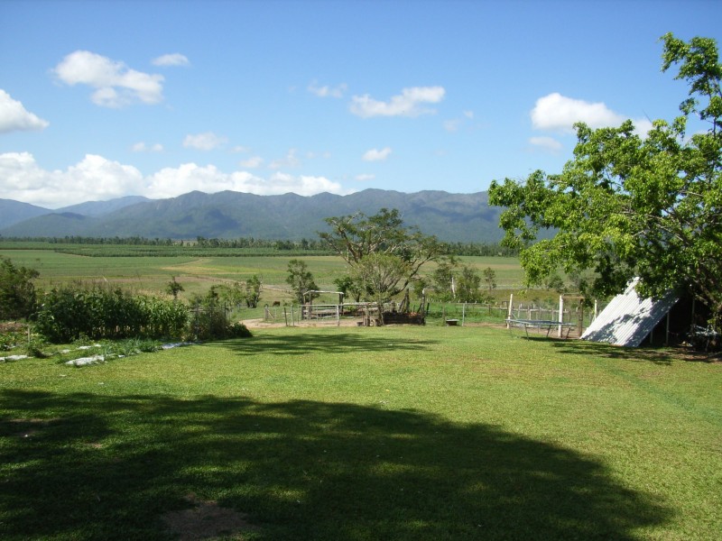 197 Mullins Road, Tully QLD 4854