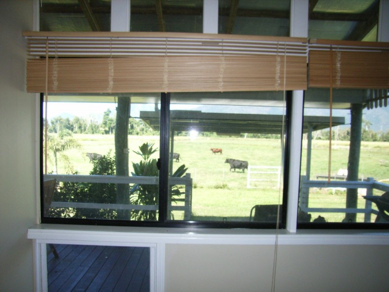 99 Lily Creek Road, Cardwell QLD 4849