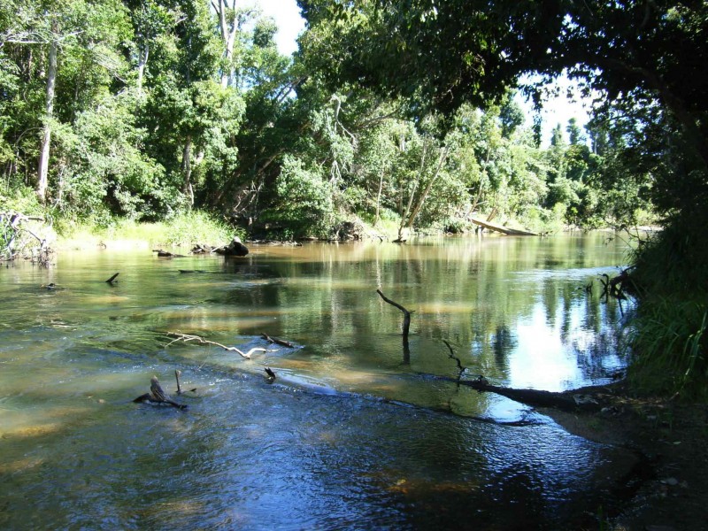 99 Lily Creek Road, Cardwell QLD 4849