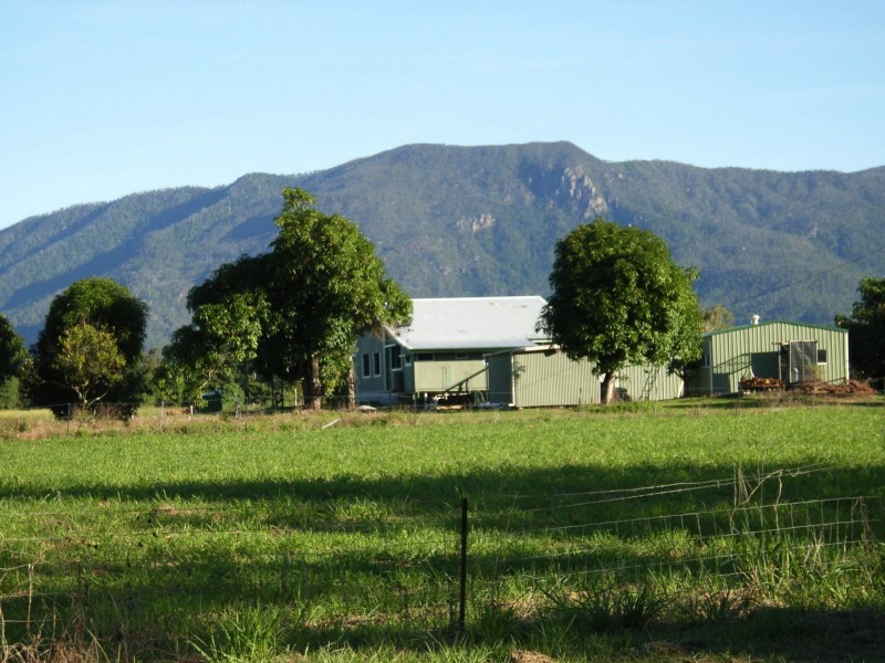 99 Lily Creek Road, Cardwell QLD 4849