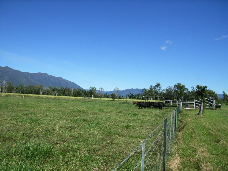 99 Lily Creek Road, Cardwell QLD 4849