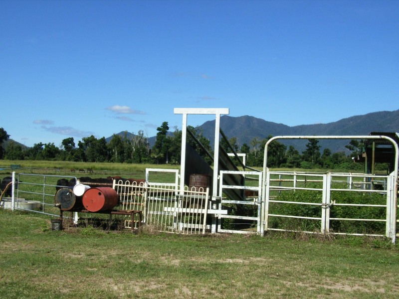 99 Lily Creek Road, Cardwell QLD 4849