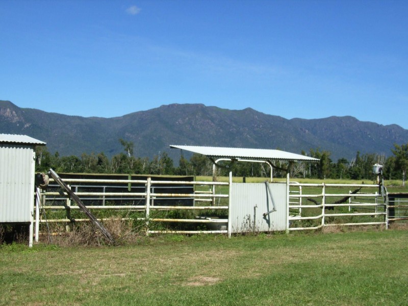 99 Lily Creek Road, Cardwell QLD 4849