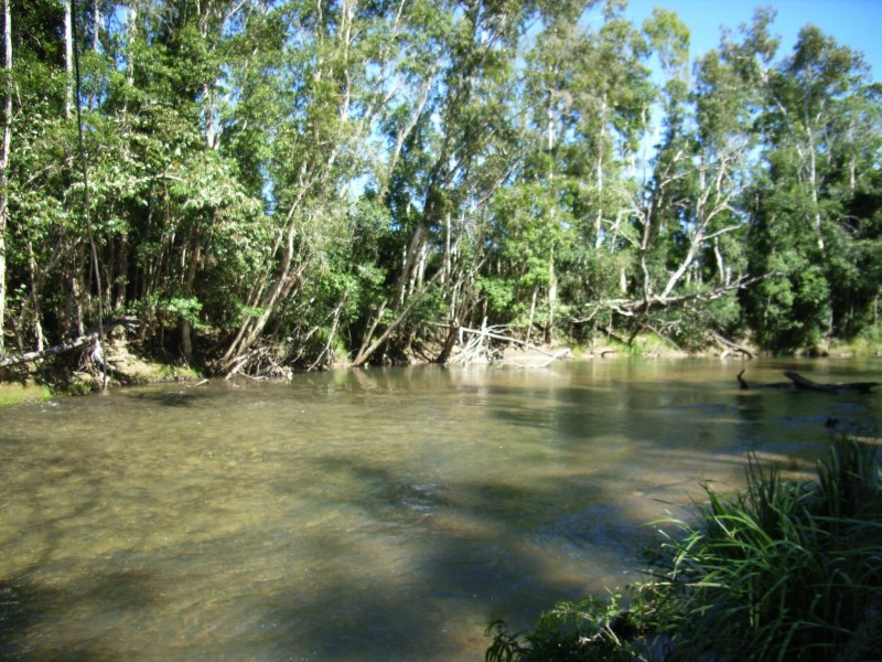 99 Lily Creek Road, Cardwell QLD 4849