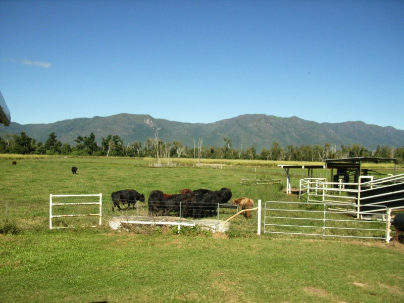 99 Lily Creek Road, Cardwell QLD 4849