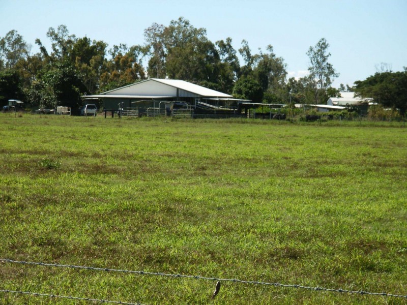 99 Lily Creek Road, Cardwell QLD 4849