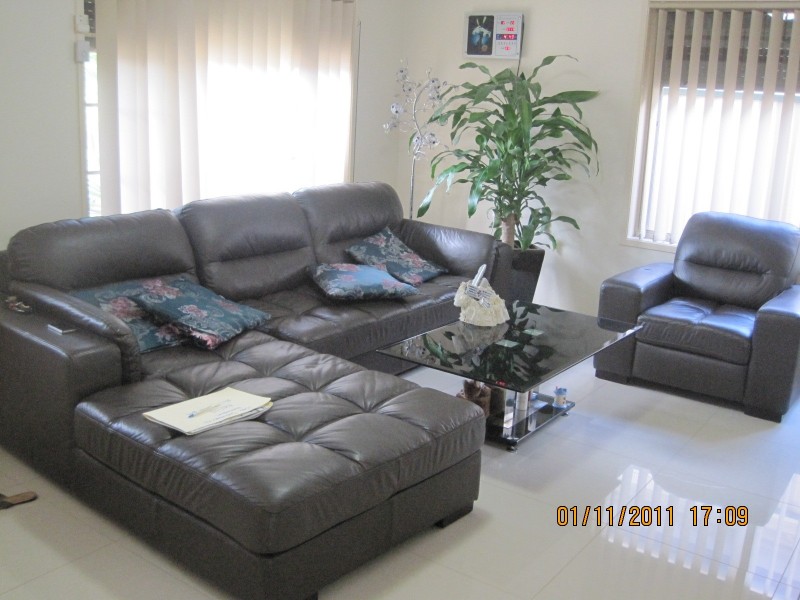 1562 canterbury rd, Punchbowl NSW 2196