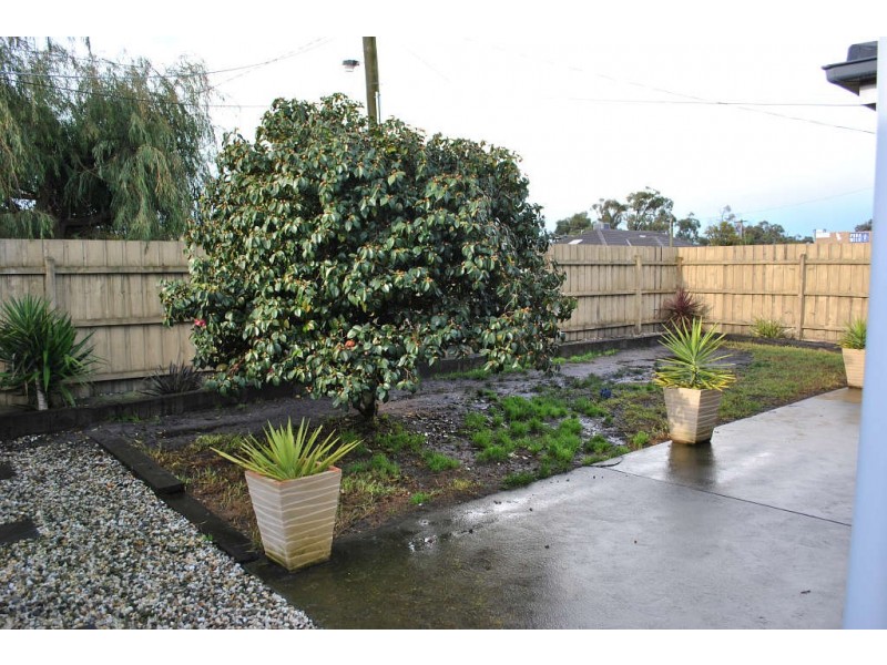 41 Houlder Avenue, Junction Village VIC 3977