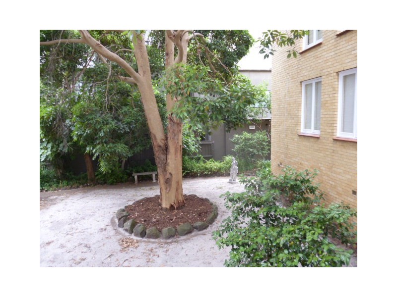 6/68 Mathoura Road, Toorak VIC 3142
