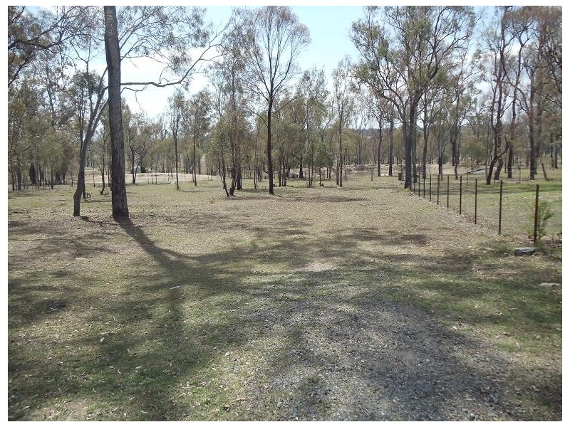 Forest Hill QLD 4342