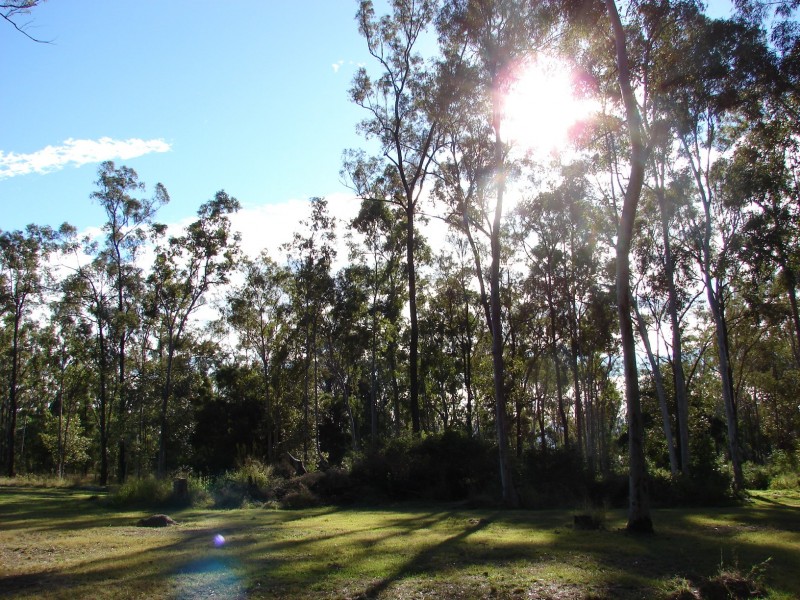 37b Salt Springs Road, Glen Cairn QLD 4342