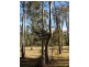 37b Salt Springs Road, Glen Cairn QLD 4342