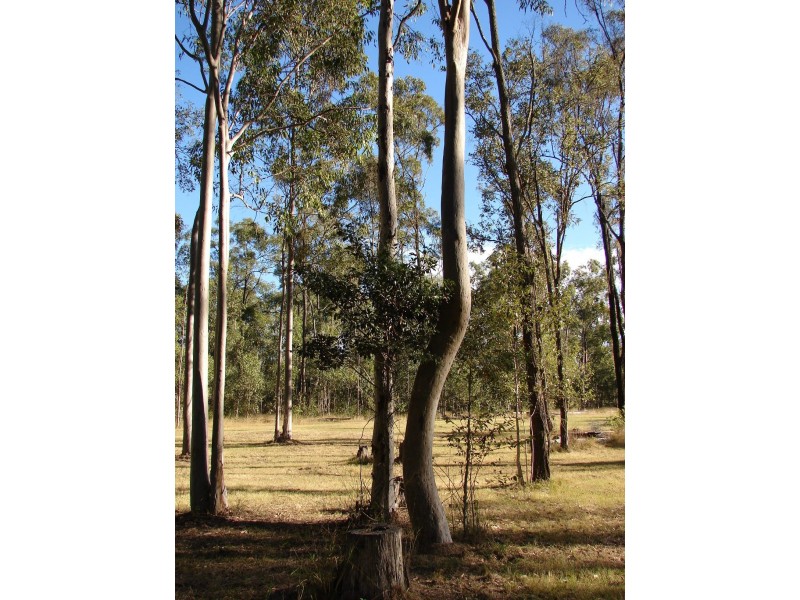 37b Salt Springs Road, Glen Cairn QLD 4342