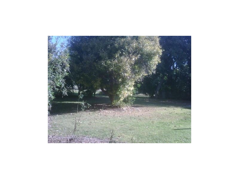 Laidley QLD 4341