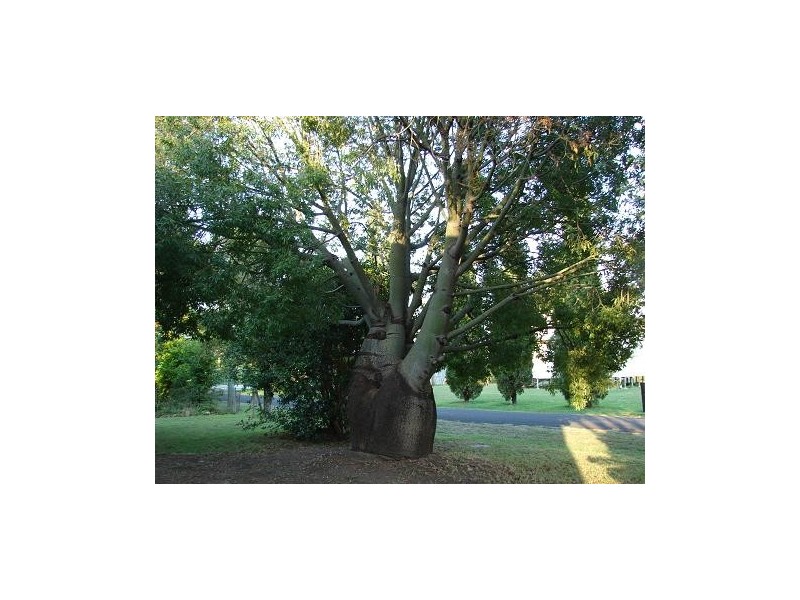 Forest Hill QLD 4342