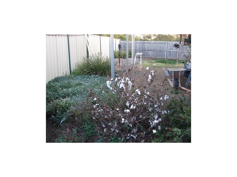 Laidley QLD 4341
