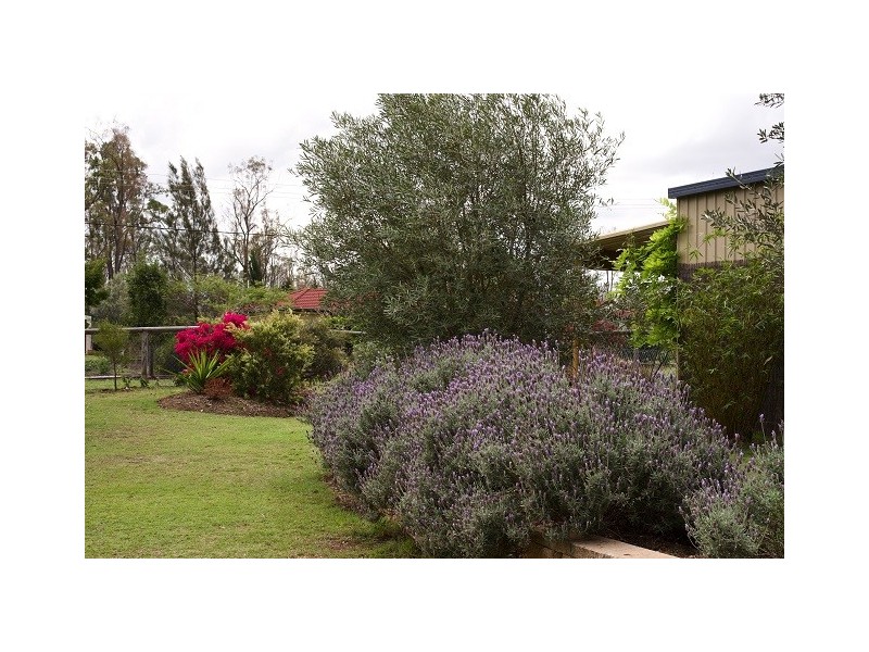 Laidley Heights QLD 4341