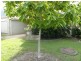 1/7 Cornell Close, Varsity Lakes QLD 4227