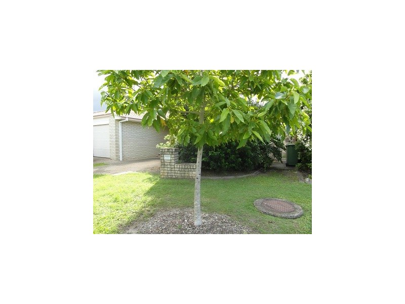 1/7 Cornell Close, Varsity Lakes QLD 4227