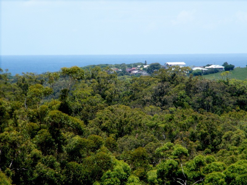 Hallidays Point NSW 2430