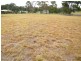 6 Cullen Grove, Hallidays Point NSW 2430