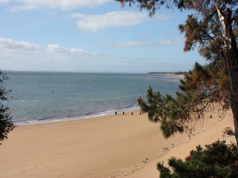 446/1 The Esplanade, Cowes VIC 3922