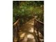 21 Coral Coast Drive, Palm Cove QLD 4879