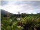 1305/2 Veivers Rd, Palm Cove QLD 4879