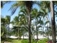 3/65 Williams Esplanade, Palm Cove QLD 4879